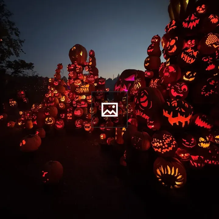 Pumpkins lit up at Jack-O-Lantern Spectacular