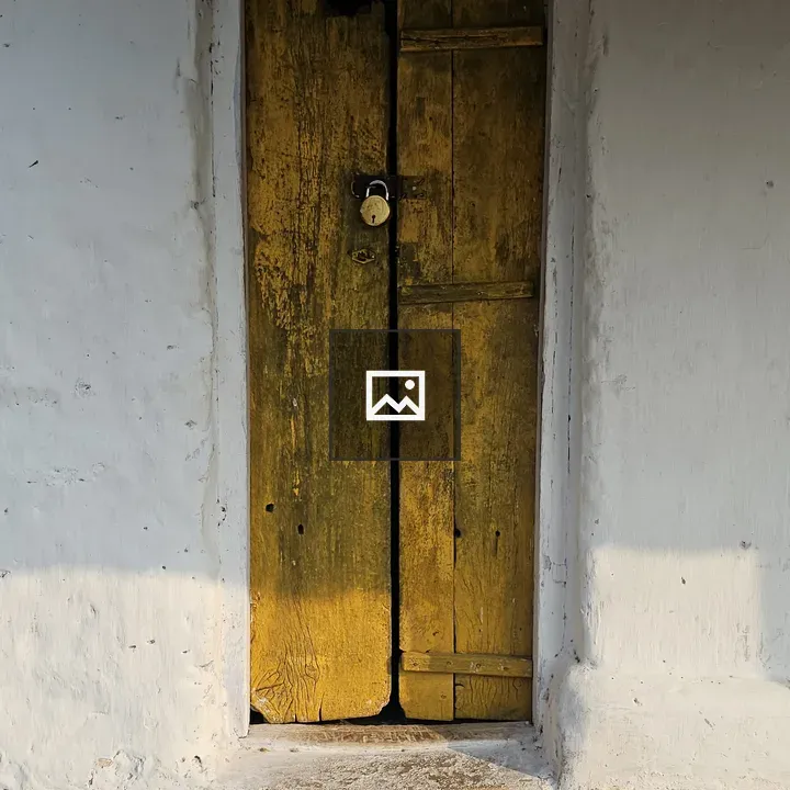 Old Wooden Door in Sunlight