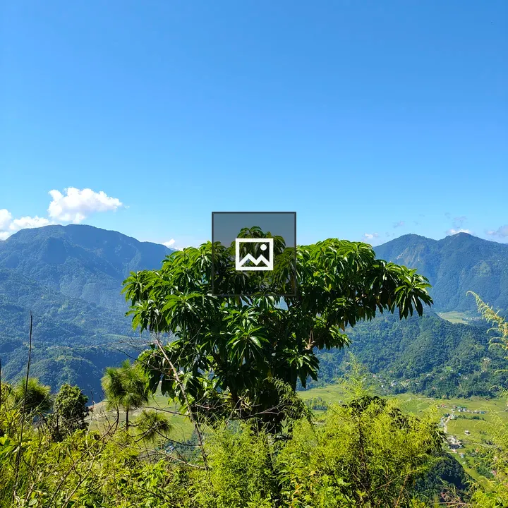 Tree in a Green Landscape