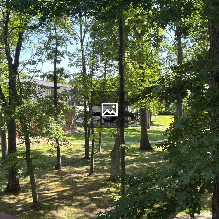 Apartment courtyard with trees