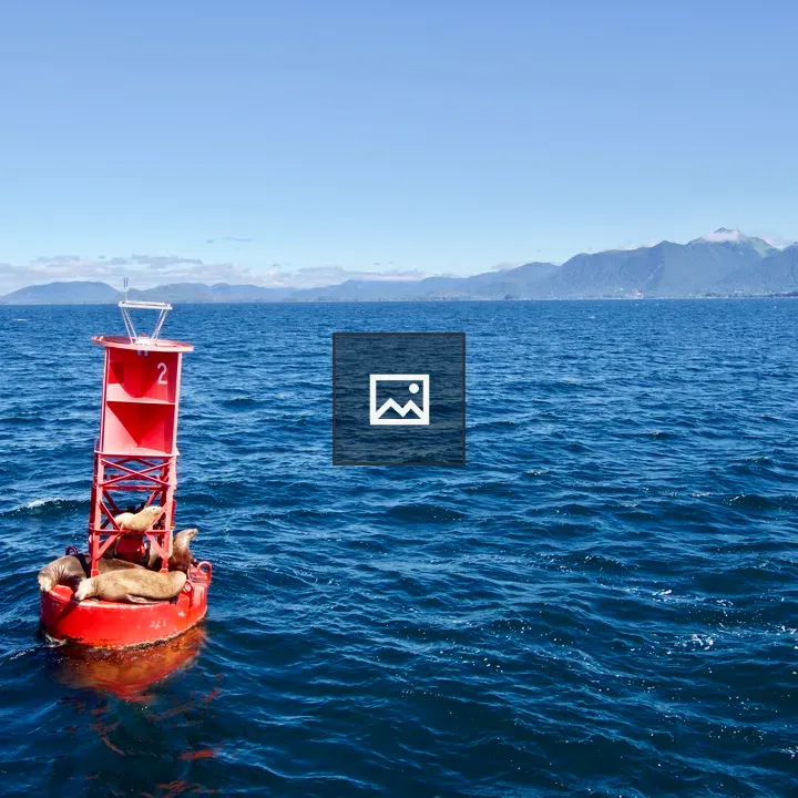 Sea lions on red buoy