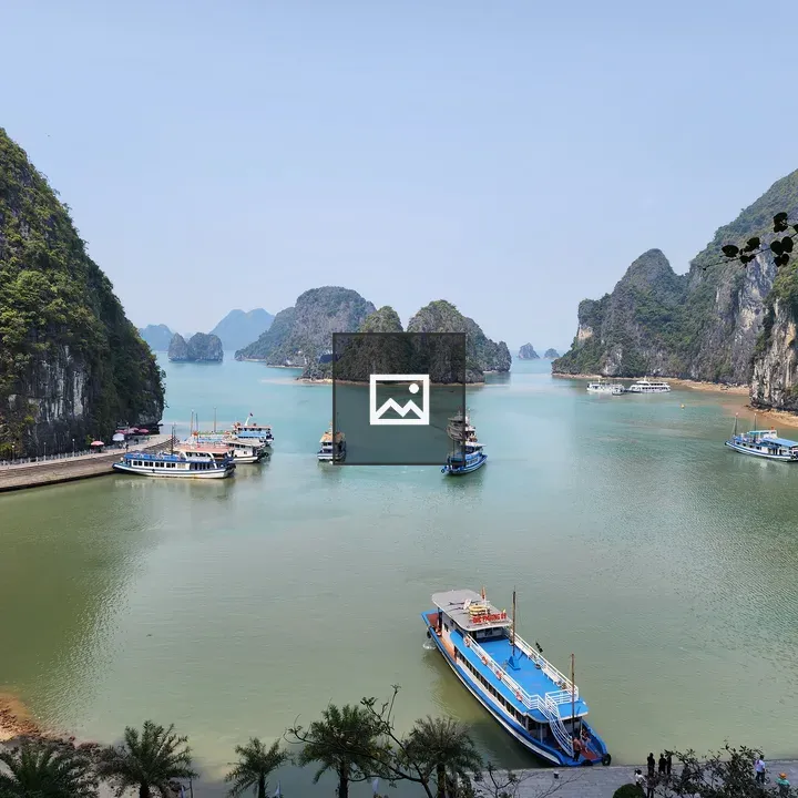 Boats on Ha Long Bay