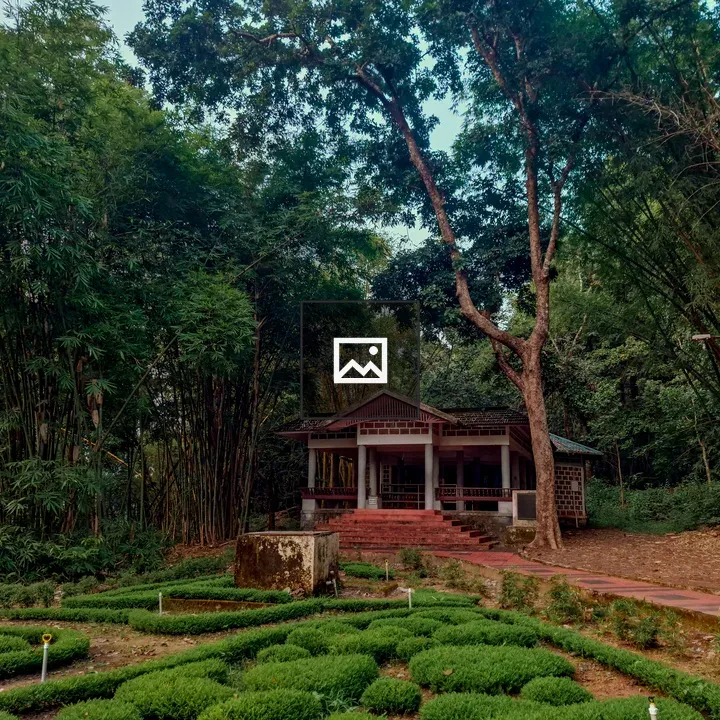 House in a Forest