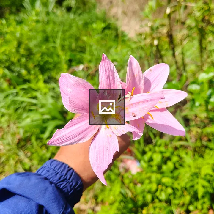 Flower held in blue sleeve