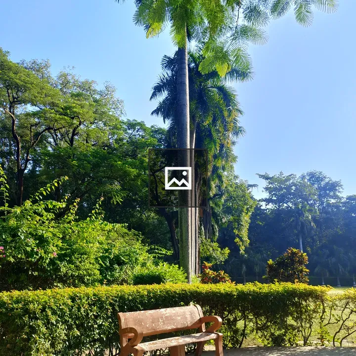 Wooden bench beside hedge in park