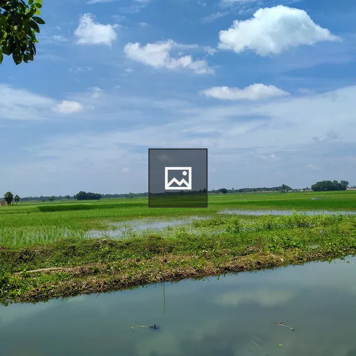 Nature and river