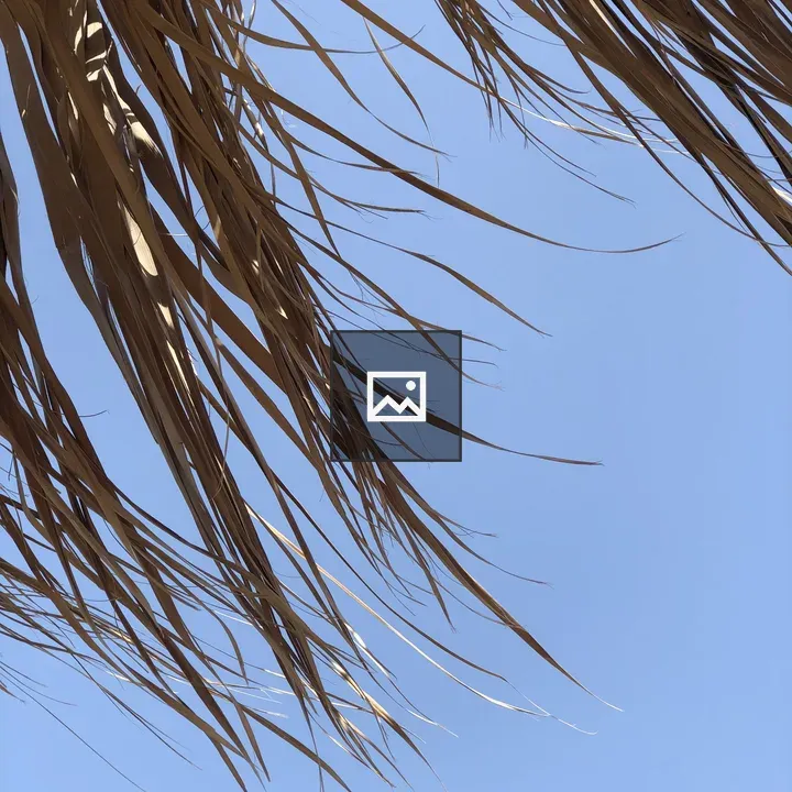 Palm leaves against blue sky