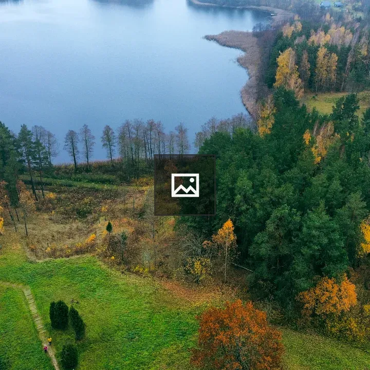 Lake and forest autumn drone