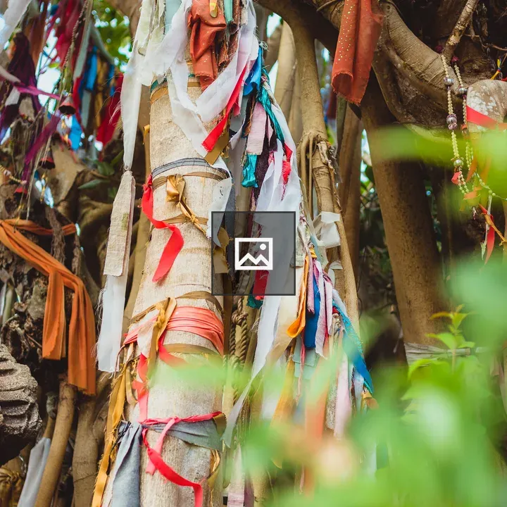 Colorful Cloth Strips on a Tree