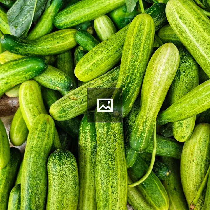 Cucumbers with Green Leaves