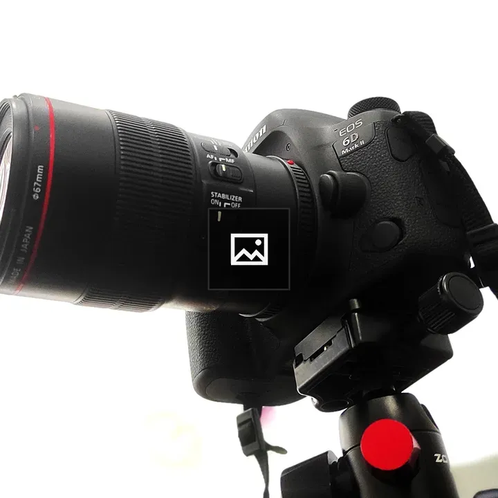 Canon EOS 6D Mark II with 100mm Lens