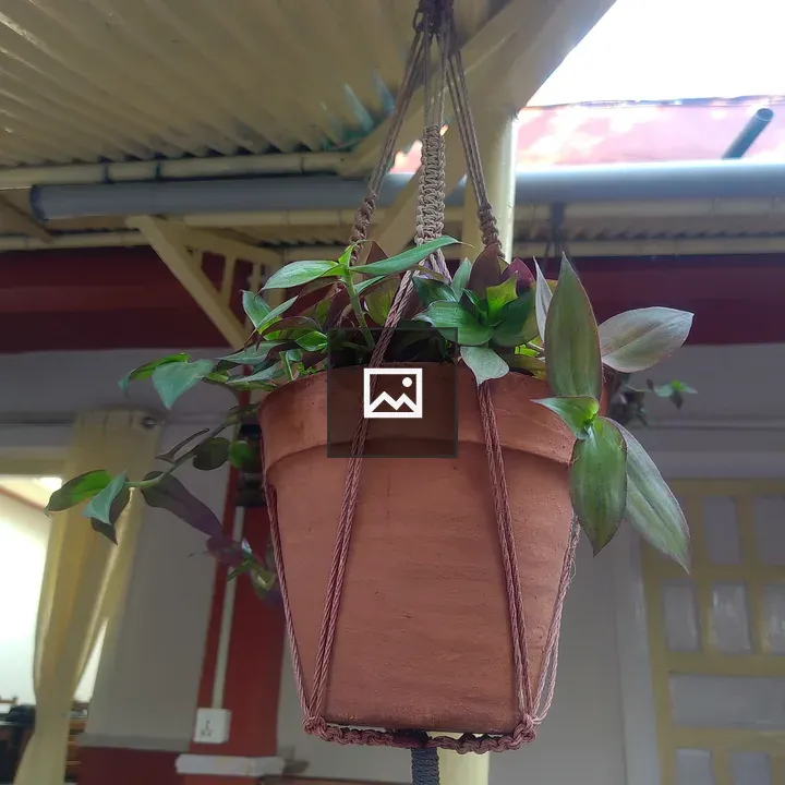 Hanging terracotta plant pot