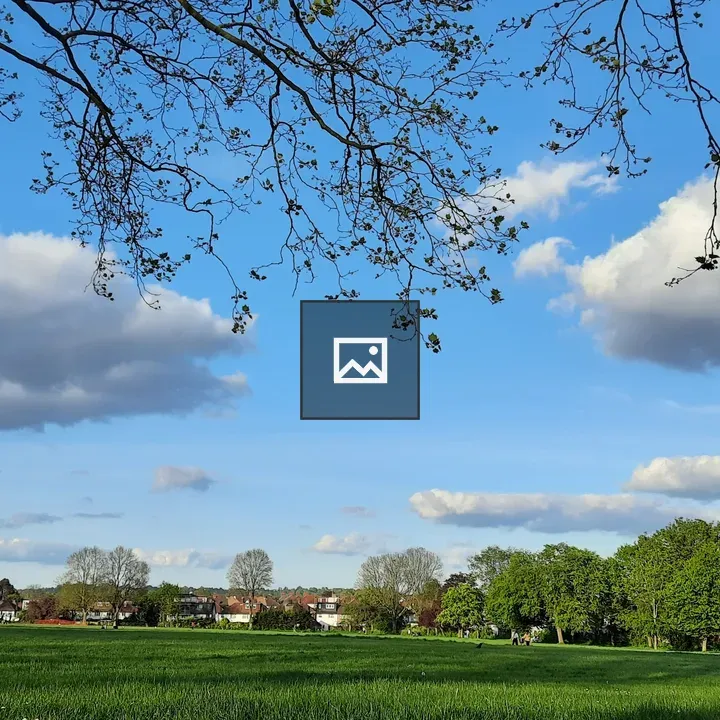 Park View with Sunny Weather