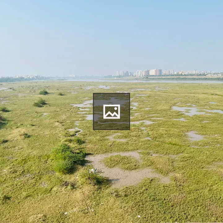 Surat Tapi River Wetland