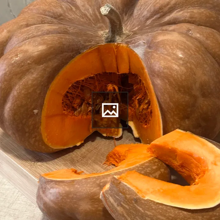 Brown Pumpkin Slice