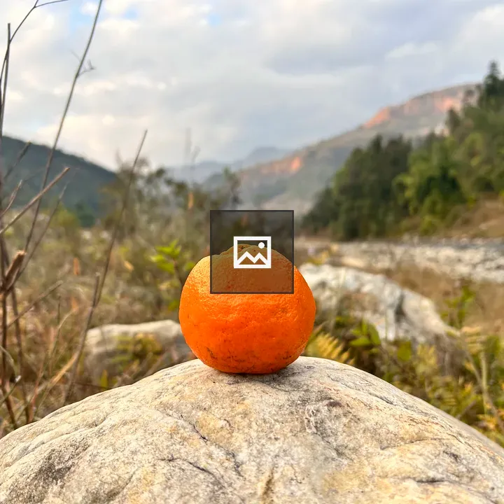 Orange on a Stone