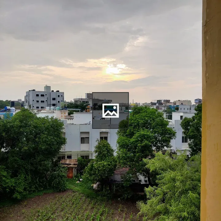 Sunset Window View with Trees