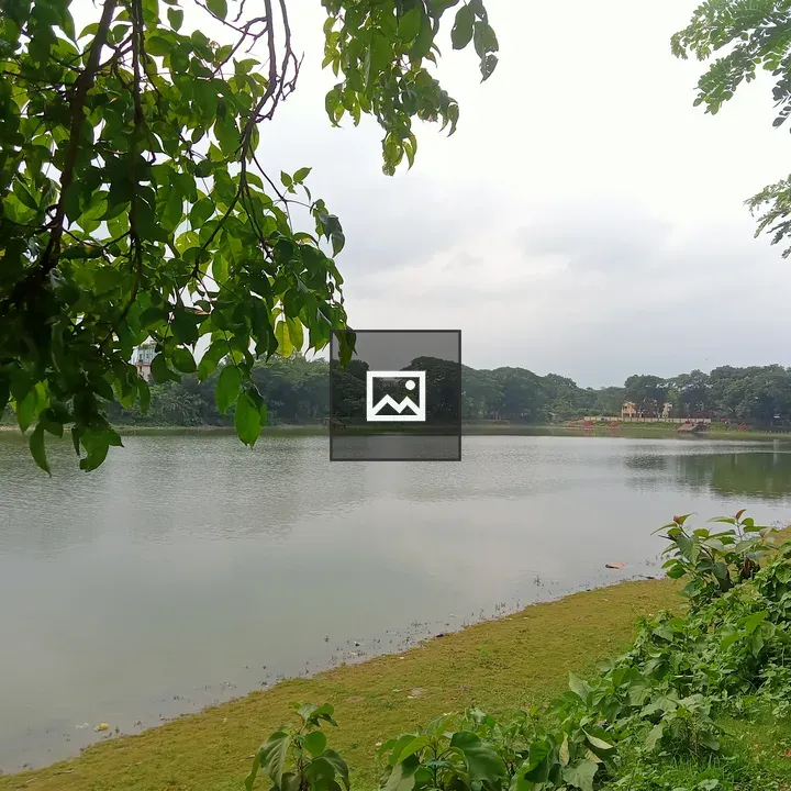 River Edge with Overhanging Branch