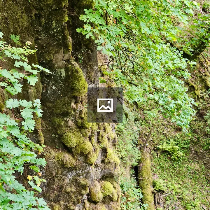 Mossy Rock Cliff in Gorge