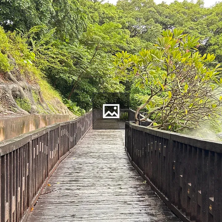 Wooden walkway through green landscape