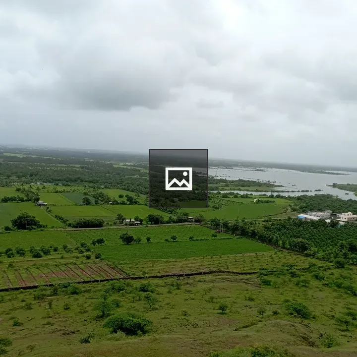 Greenery Landscape