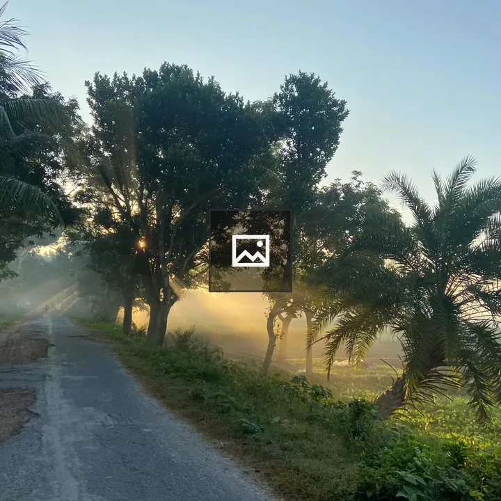 Natural View with Leaf and Sunrise