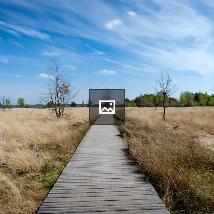 National park Hoge Veluwe landscape