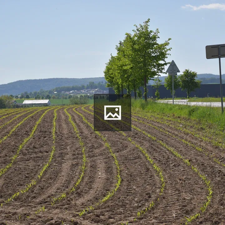 Freshly plowed field by road