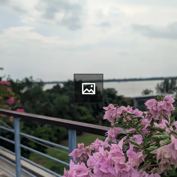 Pink bougainvillea on Balcony