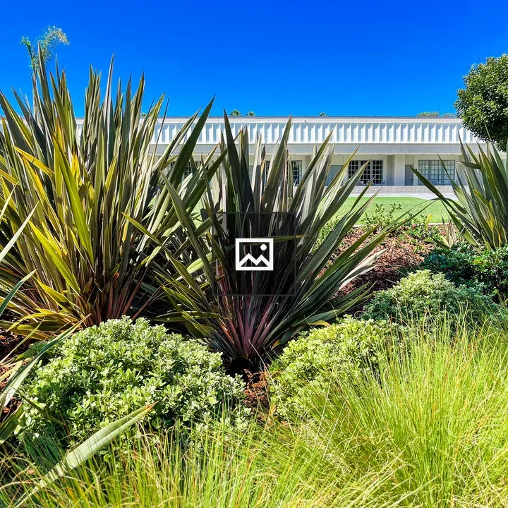 Plants in front of a conference center
