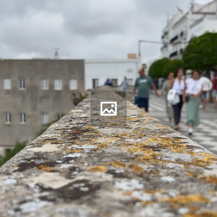 Textured Stone Railing with Lichen