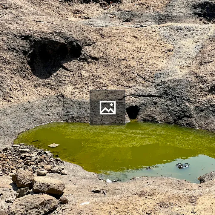 Desert Pool with Green Water