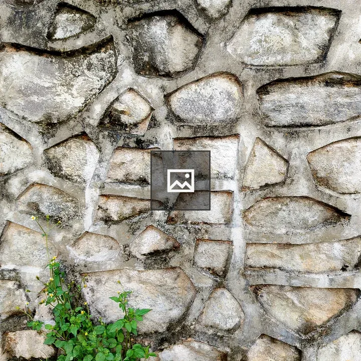 Stone wall with greenery