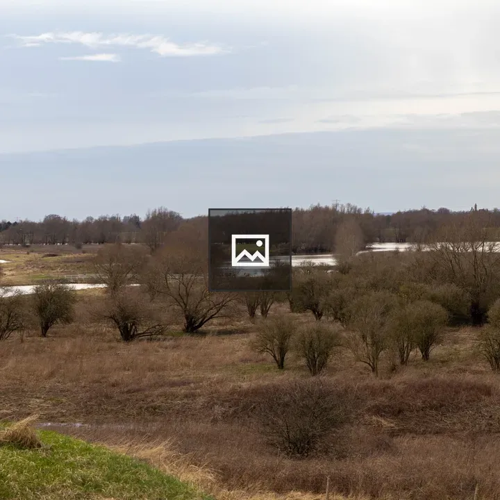 Landscape with leafless trees and water
