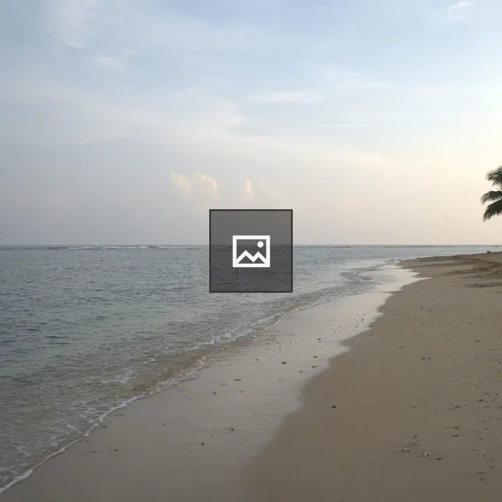 Palm-lined Calm Beach