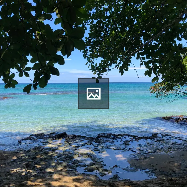A serene beach scene