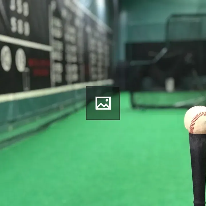 Baseball Batting Cage Scene