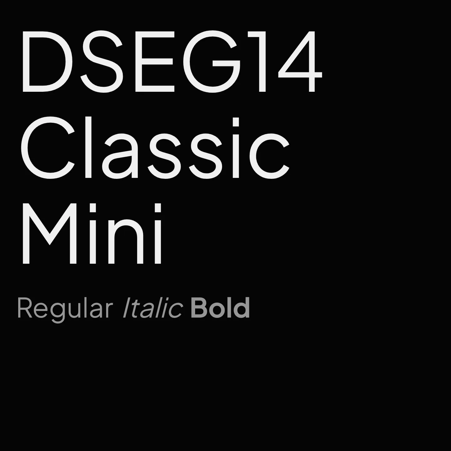 DSEG14 Classic Mini