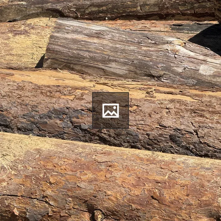 Logs stacked close-up