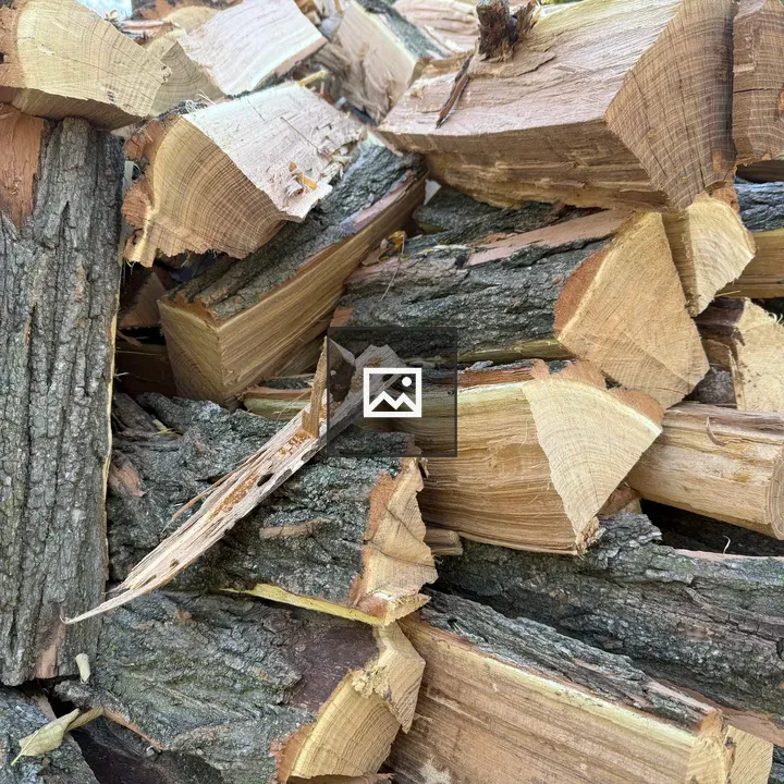 Stacked cut firewood from a Black Lotus tree