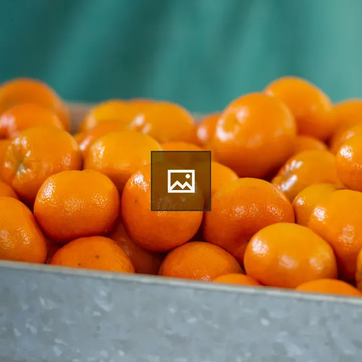 Metal basket with oranges