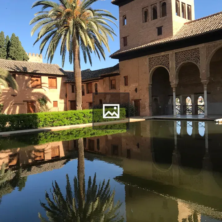 Inner yard Alhambra palm tree