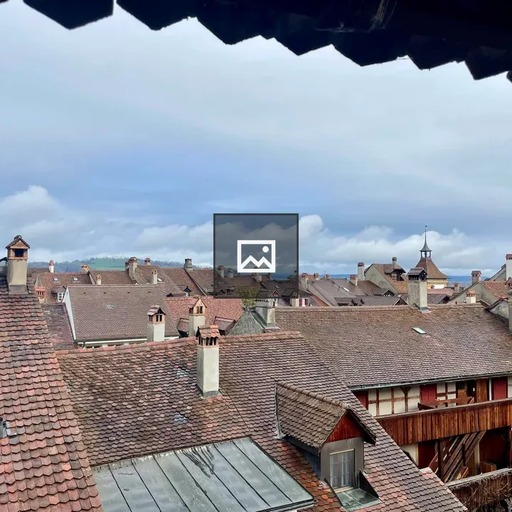 Roof View of Murten, Switzerland