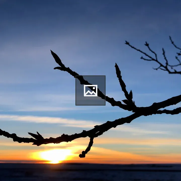 Branch Curve at Sunset