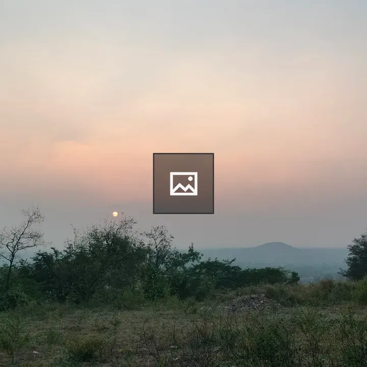 Sunset from hill behind bush