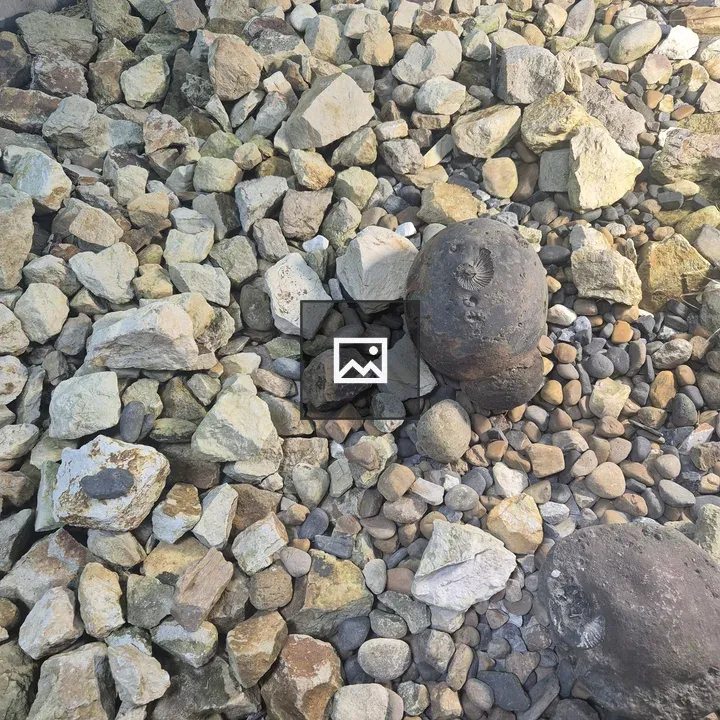 Beach rock with snail-shaped form