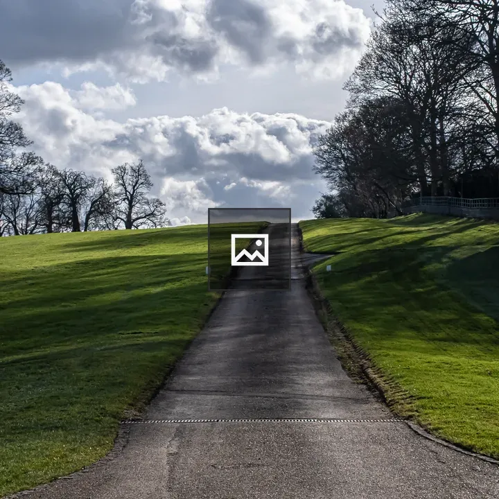 The path