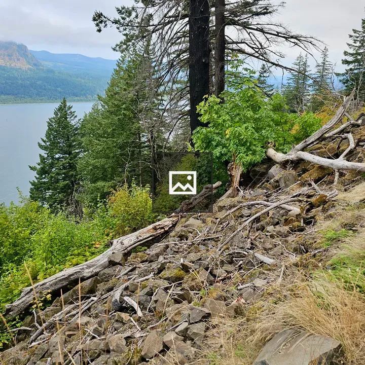Steep rocky slope in forest