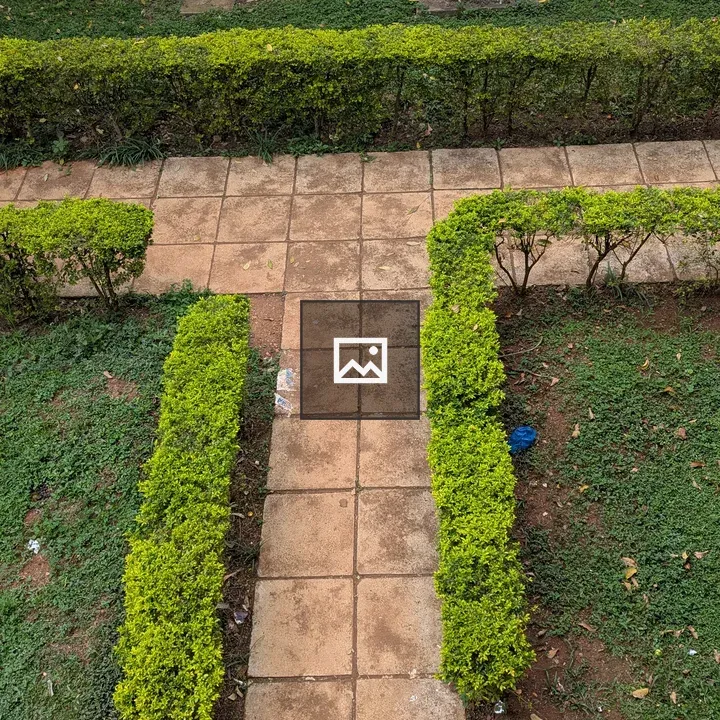 A T junction with lush green boundaries