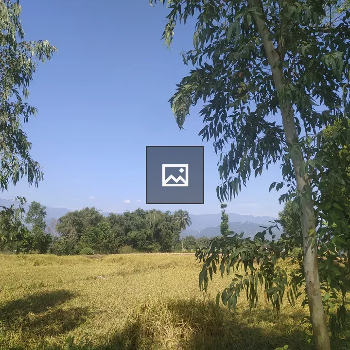 Land and Trees